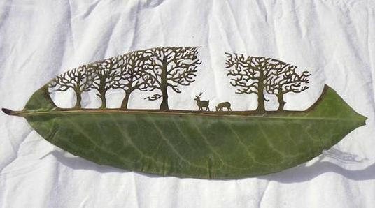 激光打标雕刻树叶跟生鲜水果案例及其应用