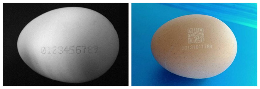 为了保证鸡蛋的食品安全，CO2激光打标机，一直在行动！