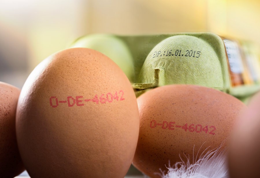 激光打标即使标记鸡蛋标签，创造Ta的专属身份
