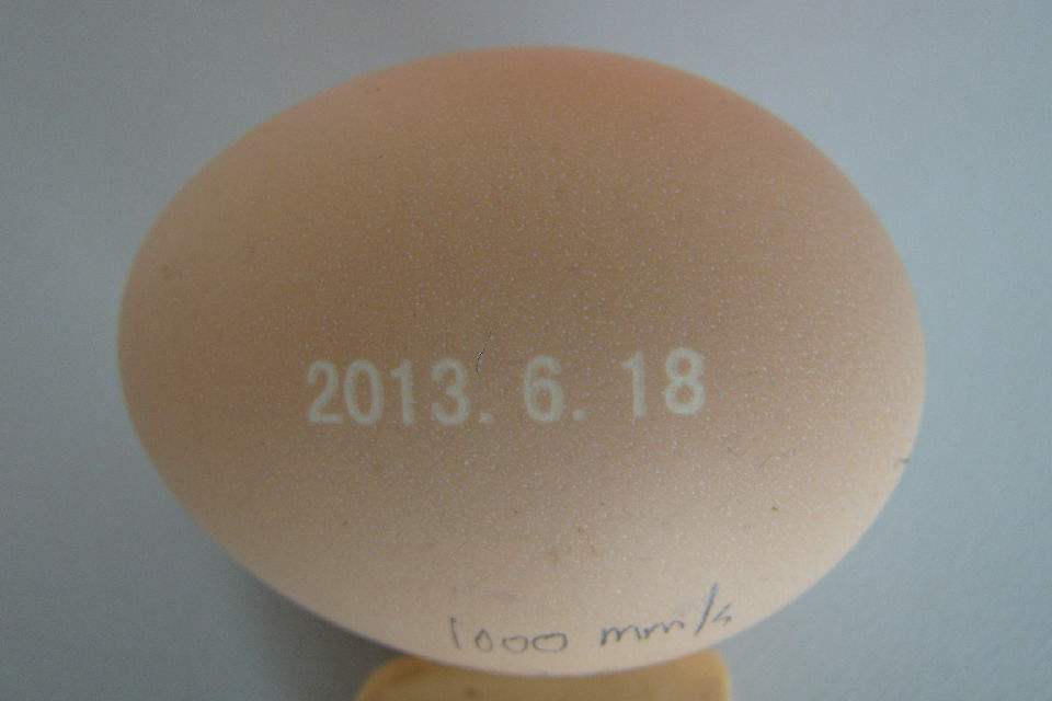 激光打标机可与刺绣媲美：在鸡蛋上制造特殊标记